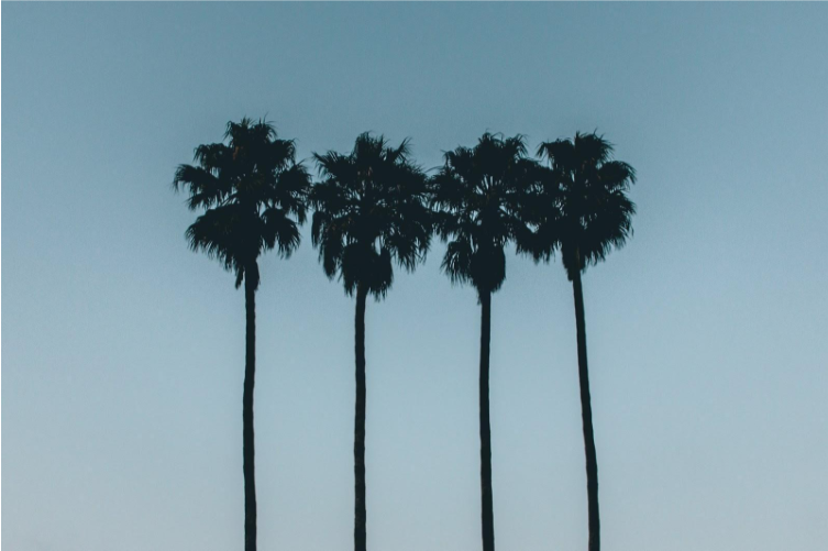 Contextual Leadership: Four Archetypes of Leadership Every New Leader Must Master.